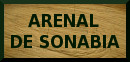 Arenal de Sonabia : access