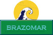 Icon surf :Brazomar