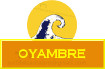 Icon, Oyambre